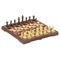 ESCACS MAGNETIC