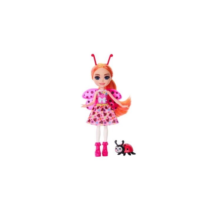 ENCHANT LADYBUG