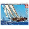 PUZZLE 1000  VELERO