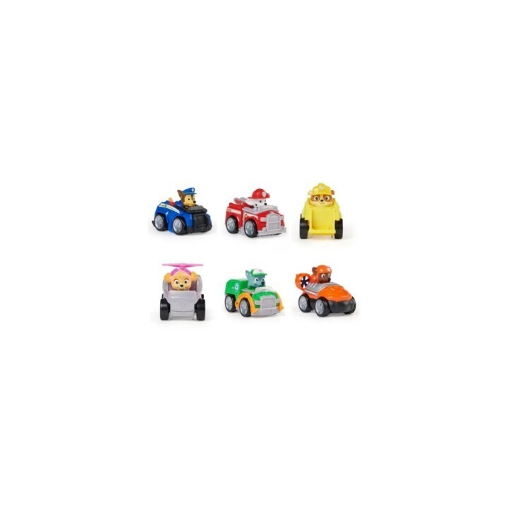 PAW SQUAD RACERS ASST