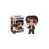 POP  VINYL  HARRY POTTER