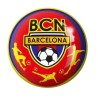 PILOTA BARCELONA PETITA