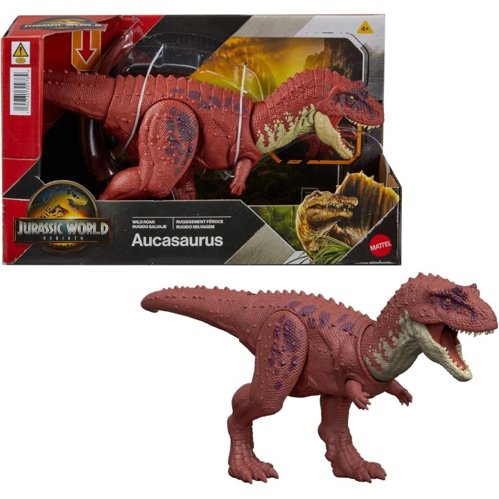 JW AUCASAURUS