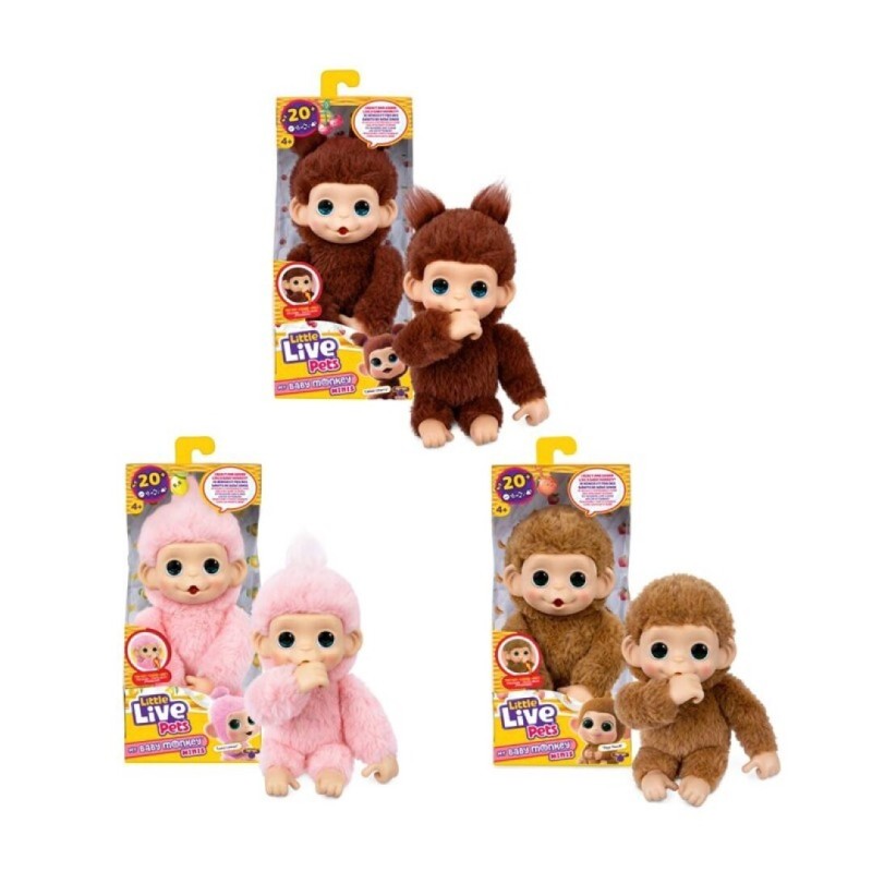 MY BABY MONKEY