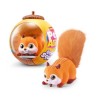 PETS ALIVE ARDILLA