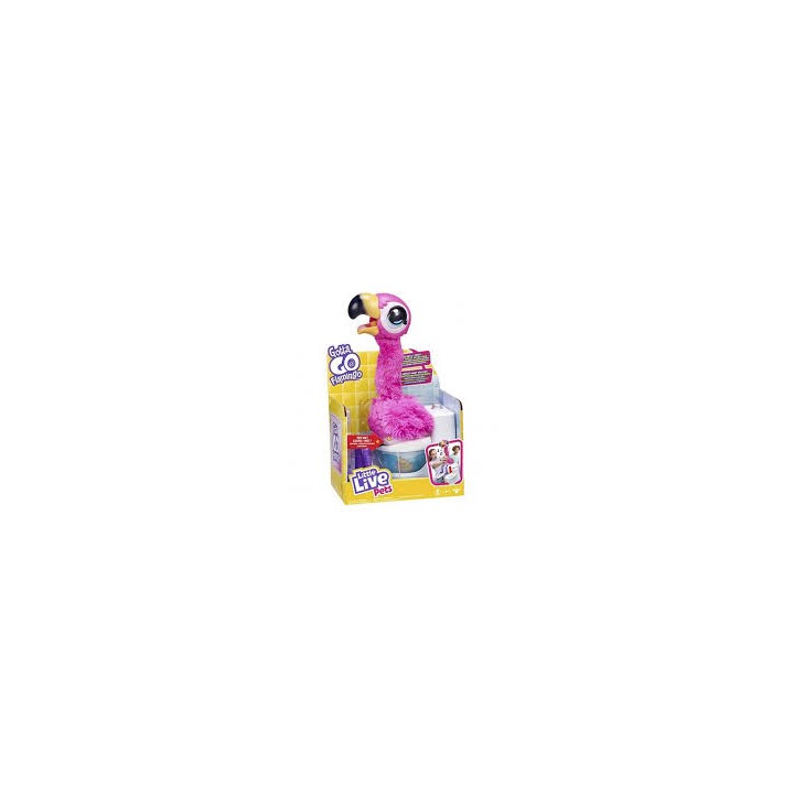 FLAMINGO THE POOP